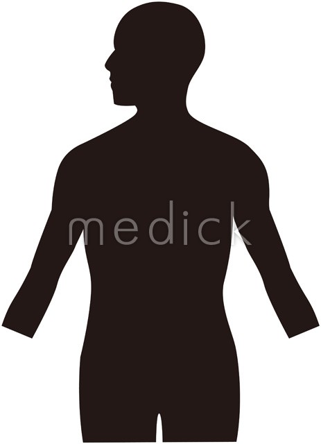 人体 上半身 のイラスト 医療のイラスト 写真 動画 素材販売サイトのメディック Medick