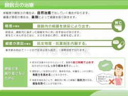 膀胱炎の治療の説明スライド