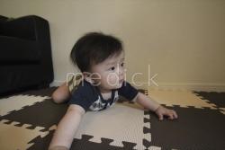 ハイハイする子供の写真