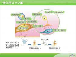 吸入用コリン薬の説明スライド