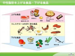中性脂肪を上げる食品下げる食品の説明スライド