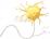 神経細胞のイラスト
