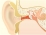 耳掃除の範囲のイラスト