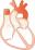 心臓の断面図のイラスト