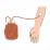 輸血のイラスト